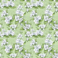 Blooming jasmine branches for cosmetic wrapping paper