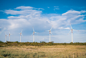 wind turbines farm