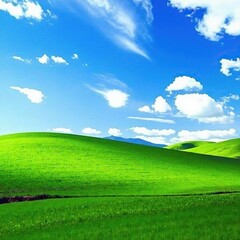 Obraz premium Limpido cielo azul con nubes blancas y un campo de trigo verde, naturaleza, paisaje