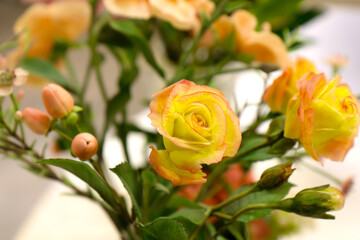 Original flowers made of polymer clay. The most realistic display. Soft focus. Close-up.