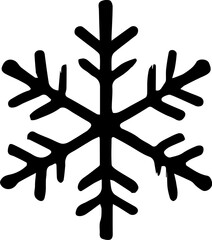 Obraz premium snowflake