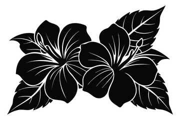 Obraz premium Hibiscus flower vector art silhouette.eps
