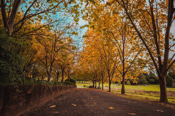 Naklejka premium Fagan Park is a large recreational area located in Galston, a semi-rural area in Sydney, New South Wales, Australia. 