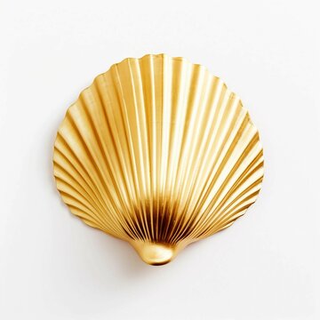 gold seashell , Isolated white background, flat lay 