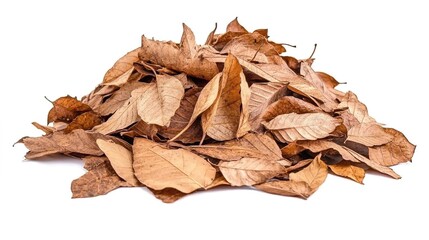 A pile of dry, brown leaves isolated on a white background with a clipping path.
