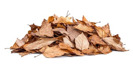 A pile of dry, brown leaves isolated on a white background with a clipping path.