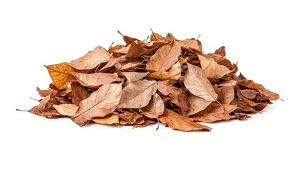 A pile of dry, brown leaves isolated on a white background with a clipping path.