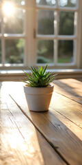 Fototapeta premium Green plant in white pot on wooden table with sunlight streaming through windows