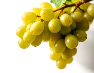 Yellow grapes on an isolated white background