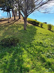 公園にある丘