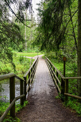 Obraz premium Wooden bridge on the Hiking trail on the Taevaskoda hiking trail in the forest in summer near Taevaskoda Põlva, Polwa, Saesaare-Taevaskoja, Estonia 