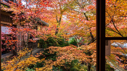 Beautiful Kyoto autumn leaves