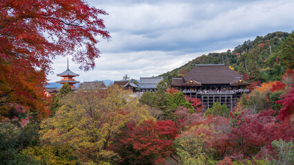 Beautiful Kyoto autumn red leaves