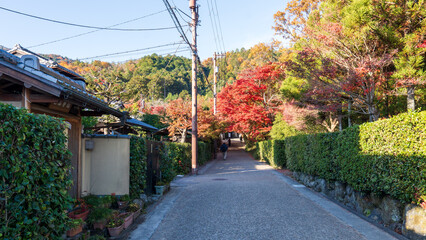 Beautiful Kyoto autumn red leaves