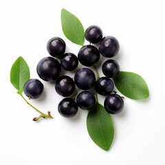acai , Isolated white background, flat lay