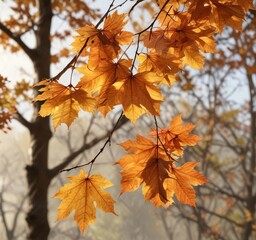 Fototapeta premium Dried and crinkled autumn leaves clinging to tree branches, tree bark, seasonal change