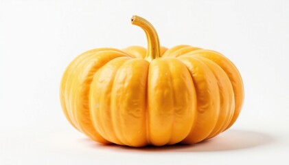 Autumnal pumpkin on white background with golden stem, yellow, gourd