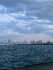 Naklejka premium Chicago Skyline 