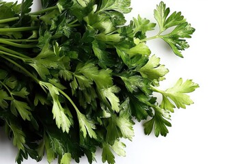 Fresh parsley with vibrant green leaves displayed on a clean white background.