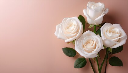 Fototapeta premium Bouquet of white roses on a pastel background with copy space for add text and design card, banner, website and wallpaper.