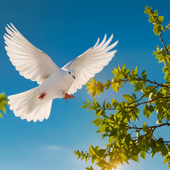 Fototapeta premium close up of white dove flying in blue sky 