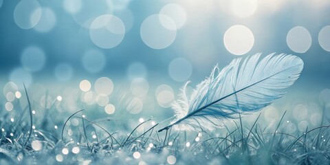 A single delicate feather rests gently in the dewy grass, bathed in soft, ethereal light and surrounded by a bokeh of dreamy circles.