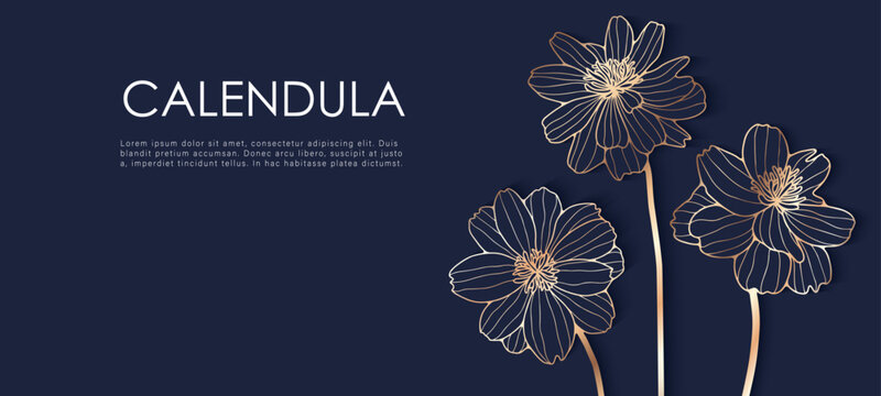 Hand drawn Golden calendula flowers vector floral luxury design for cards, backgrounds, covers