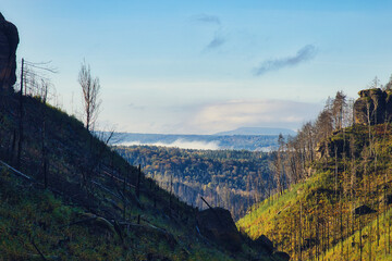 Gebirge - Sächsische Schweiz - Böhmische Schweiz - Bohemian Switzerland - Czech Republic -...