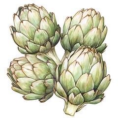 Obraz premium Fresh artichokes with green leaves and delicate details, perfect for culinary use