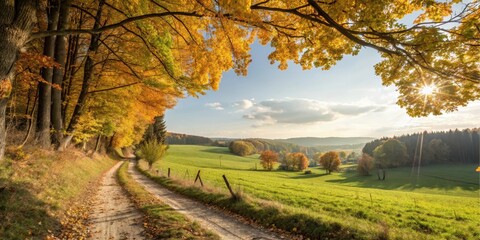 Autumnal Pathway Through Golden Canopy Leading to Serene Meadow Landscape