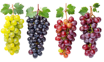 bunch of grapes