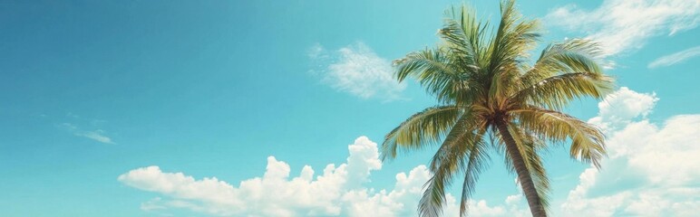 Summer paradise with palm tree on the beach, perfect for vacation and travel inspiration.