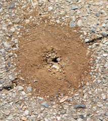 A hole in the ground with a pile of dirt around it