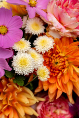 Vibrant fresh cut garden blooms