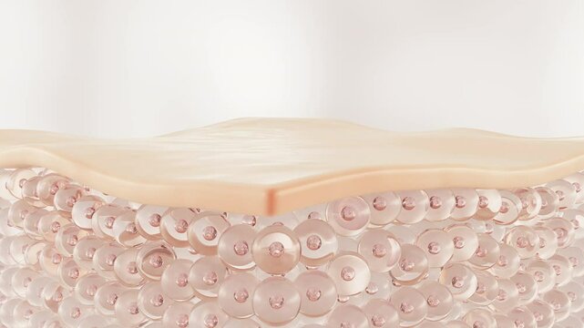 Cosmetic serum Oil drop on skin cell, Skin Repair, moisturizer, collagen serum 3d animation.