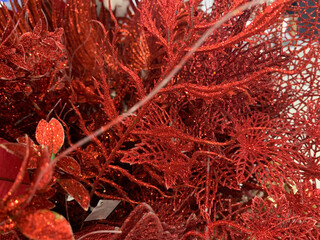 Fototapeta premium Red shiny Christmas Ornament close up shot