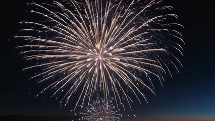 Obraz premium fireworks in the sky