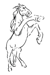 Drawing of prancing horse, illustration vector and design.