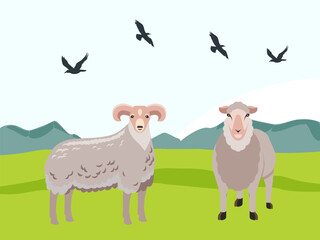Sheep Concept Illustration Stylish and Beautiful