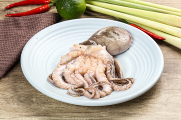 Raw fresh octopus for cooking