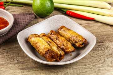 Vietnamese fried stuffed spring roll