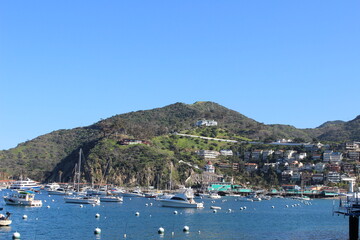 Catalina Island