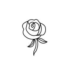 rose flower outline