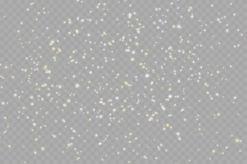 Beautifully scattered small particles on a artificial transparent background. Vector illustration. Shimmering Dust.