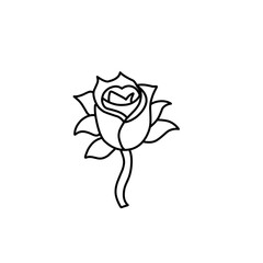 rose flower outline
