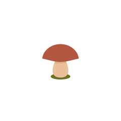 Color Mushroom icon isolated on white background