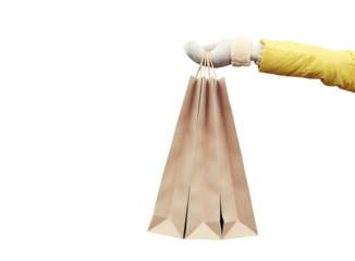 Purchase, female hand holding showing paper shopping bags, gift isolated on white background