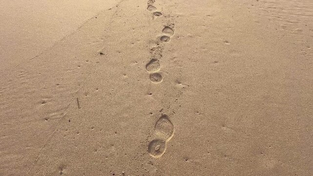 Footprints are creating a path on the smooth sand of barbate beach in andalusia, spain, offering a serene view of a peaceful walk along the shore