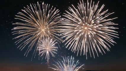 fireworks in the night sky new year