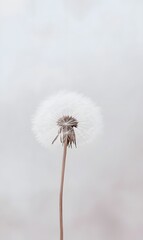 Fototapeta premium image clean simple background,generation AI